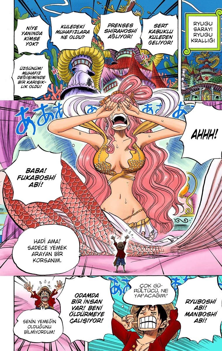 One Piece Bölüm 613 - Sayfa 4