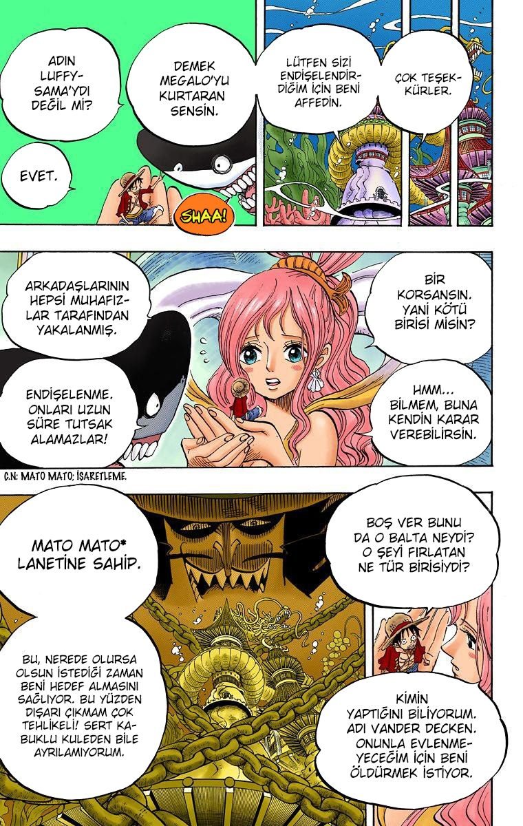 One Piece Bölüm 613 - Sayfa 9