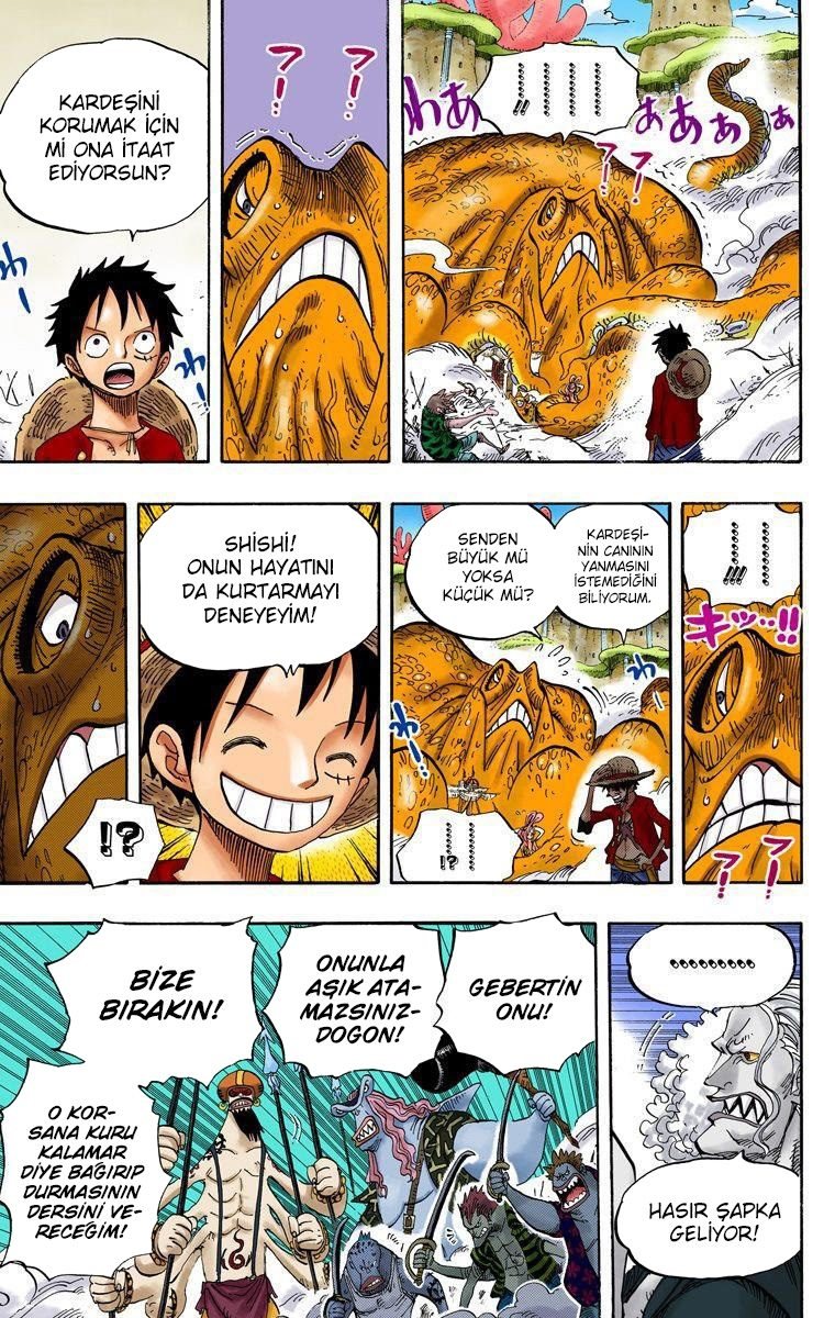 One Piece Bölüm 636 - Sayfa 14