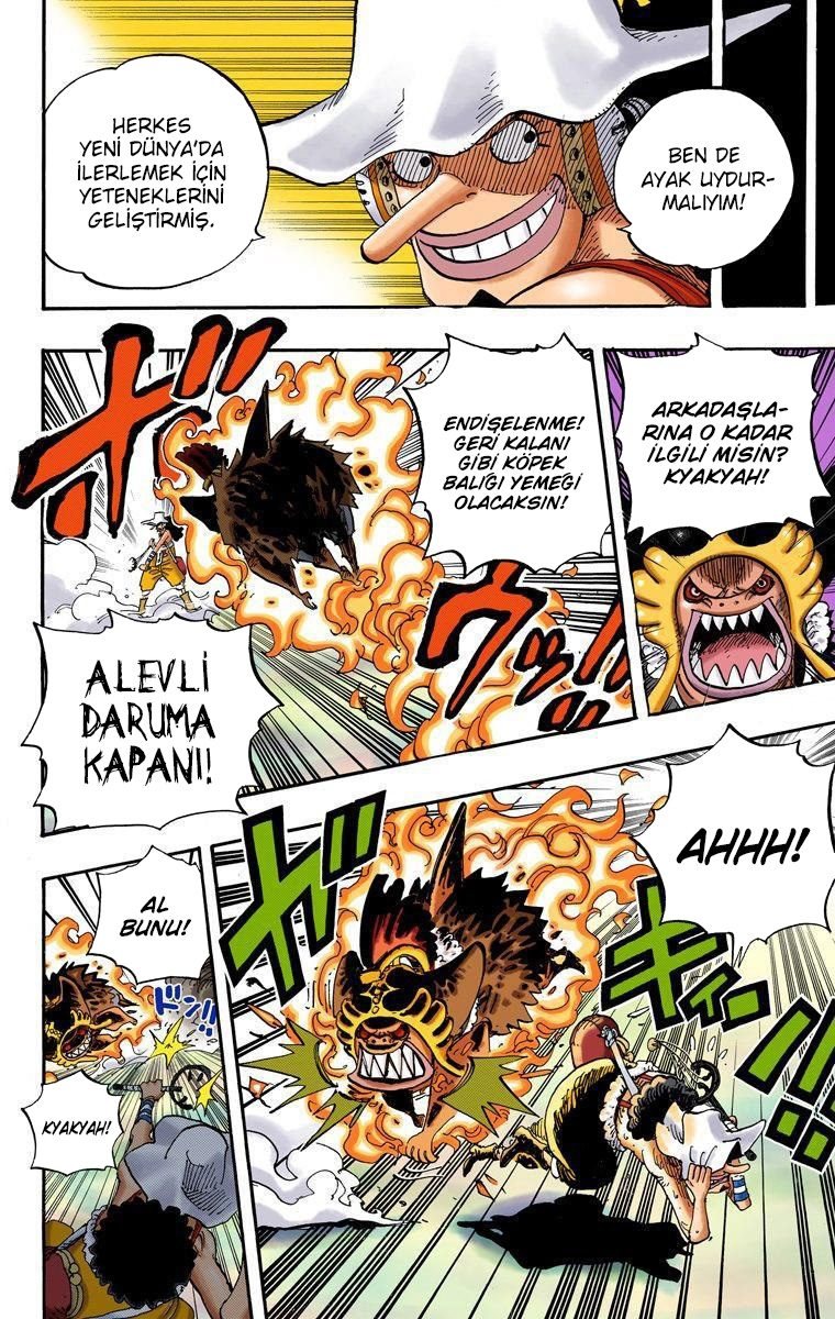 One Piece Bölüm 643 - Sayfa 10