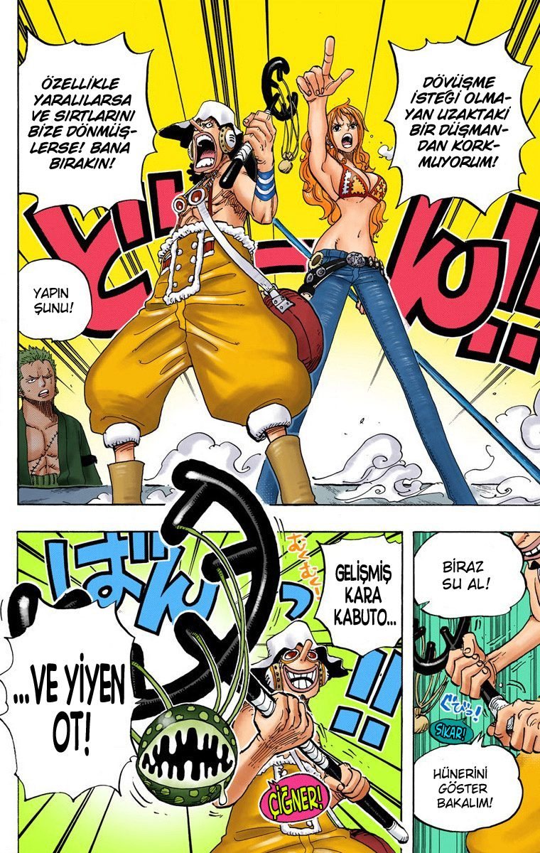 One Piece Bölüm 695 - Sayfa 10