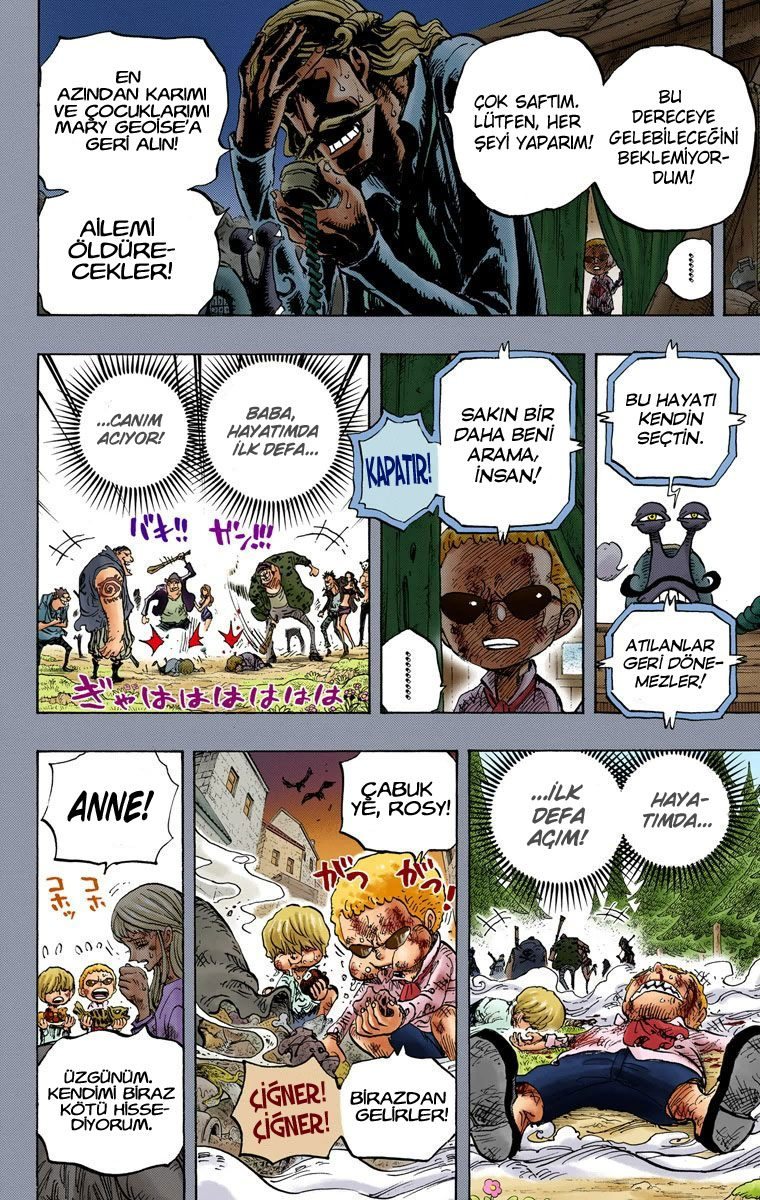 One Piece Bölüm 763 - Sayfa 8