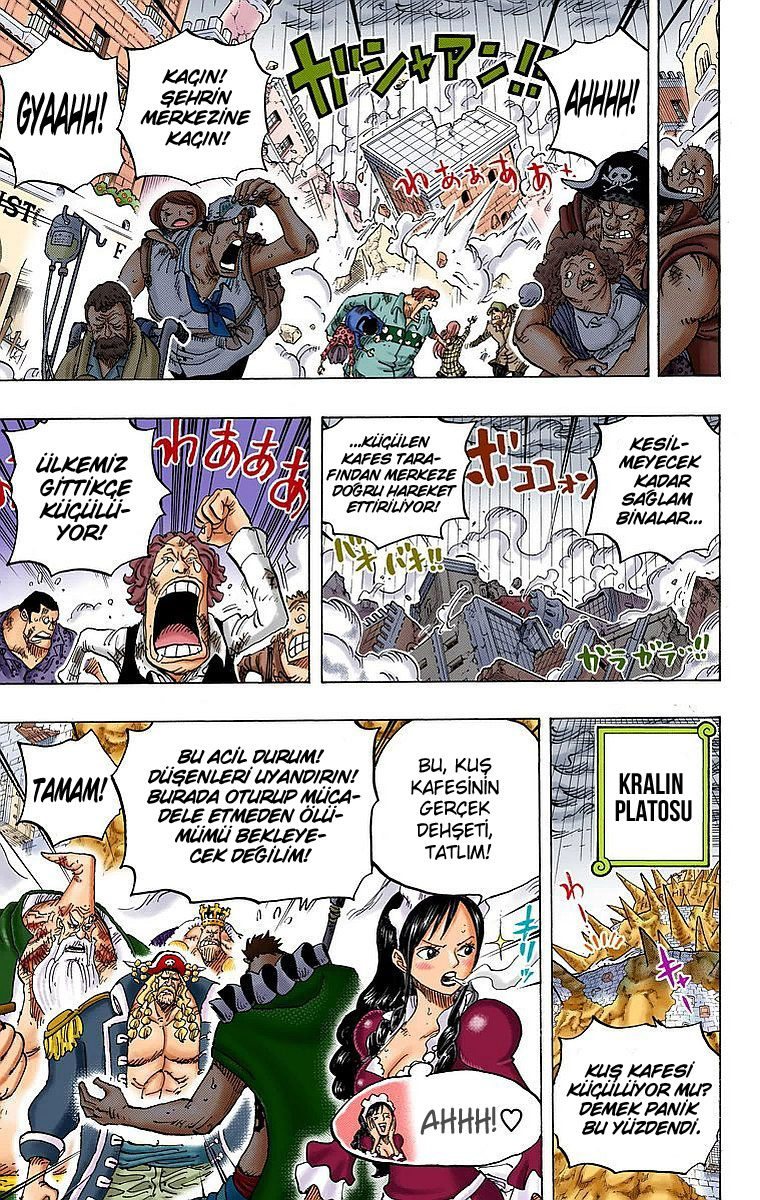 One Piece Bölüm 784 - Sayfa 2