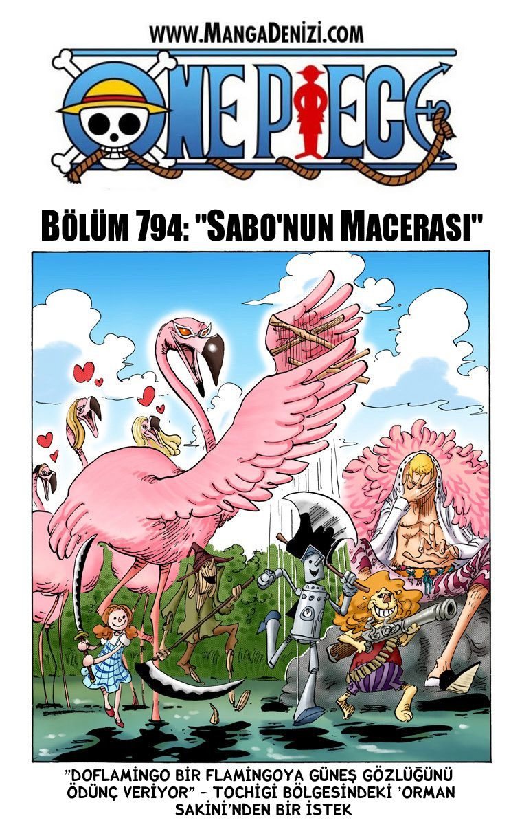 One Piece Bölüm 794 - Sayfa 1
