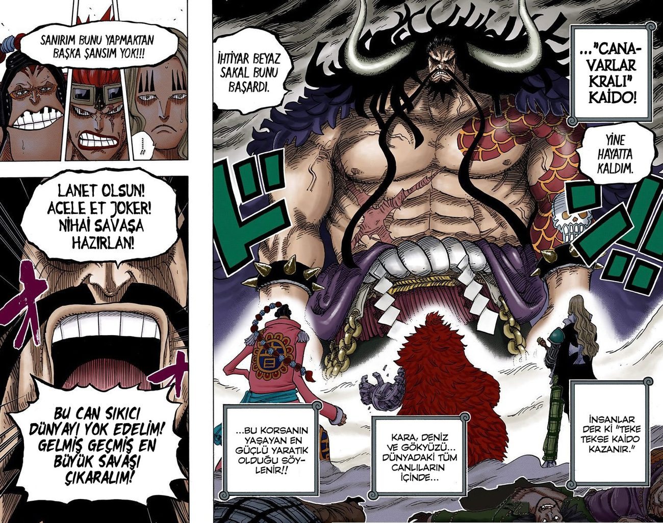 One Piece Bölüm 795 - Sayfa 16