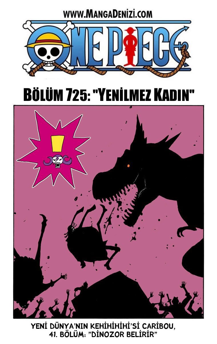 One Piece Bölüm 725 - Sayfa 1