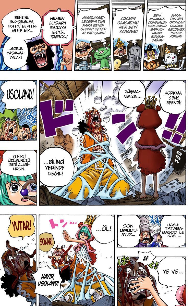 One Piece Bölüm 742 - Sayfa 17