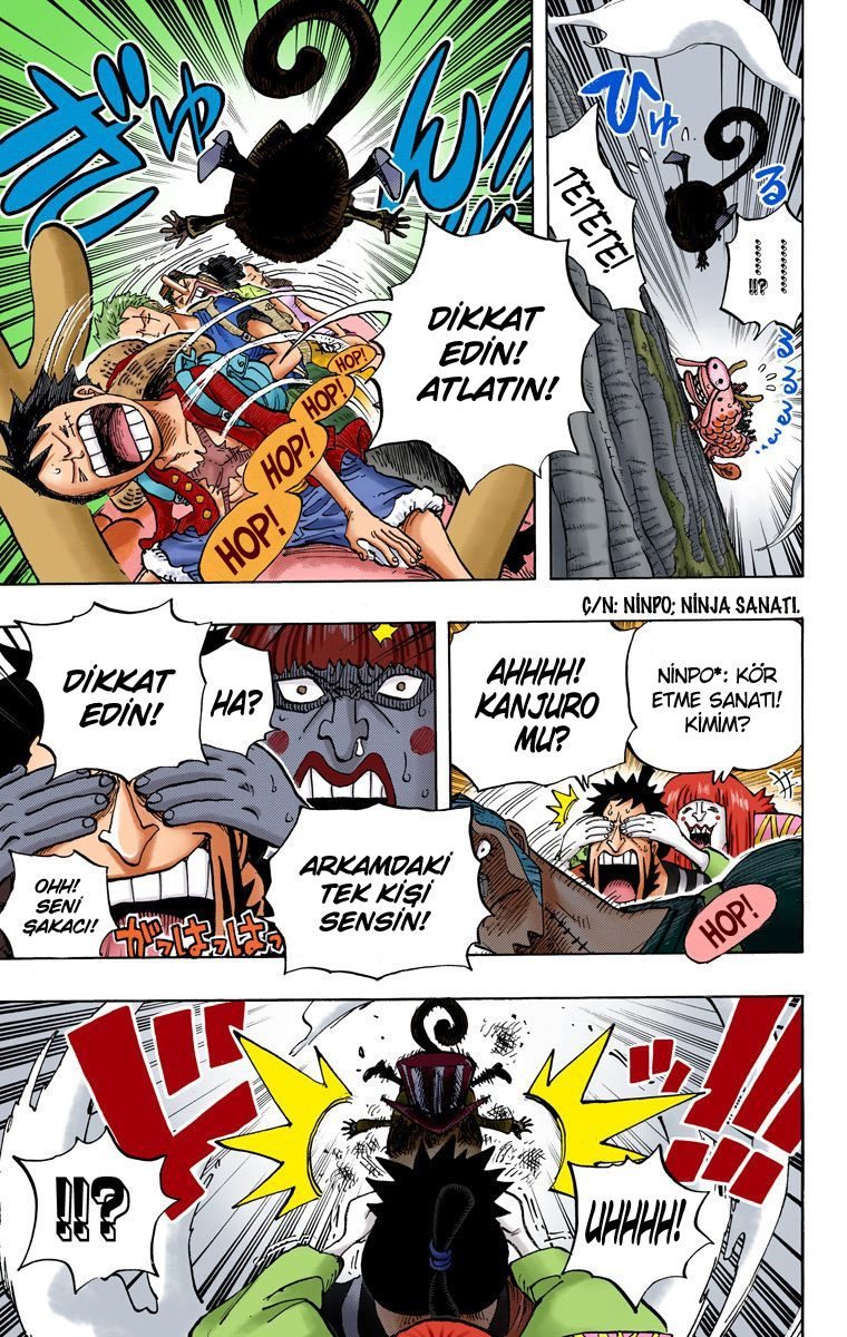 One Piece Bölüm 804 - Sayfa 3