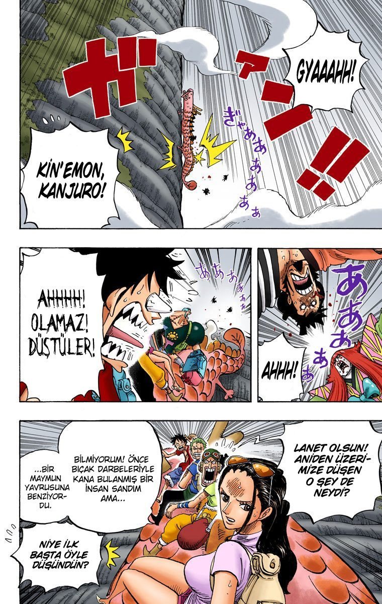 One Piece Bölüm 804 - Sayfa 4