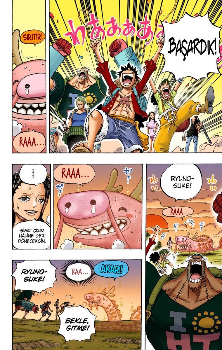 One Piece Bölüm 804 - Sayfa 8