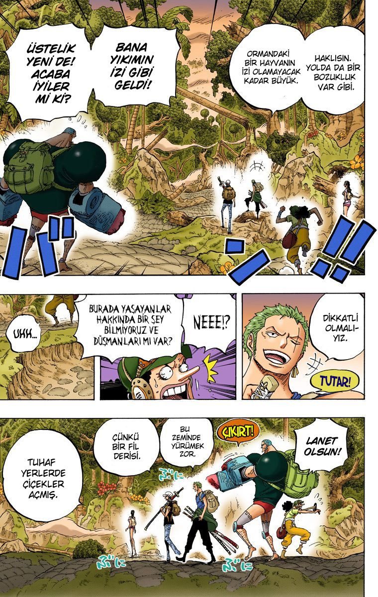 One Piece Bölüm 804 - Sayfa 12