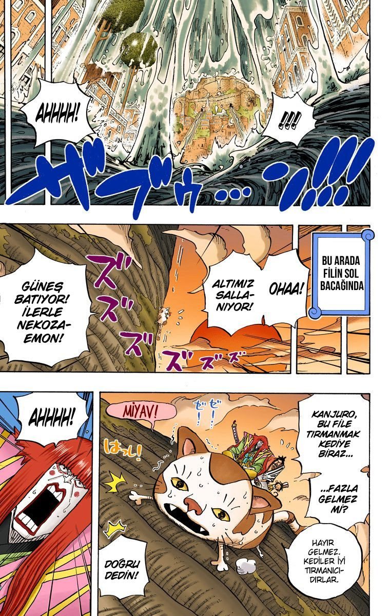 One Piece Bölüm 806 - Sayfa 3