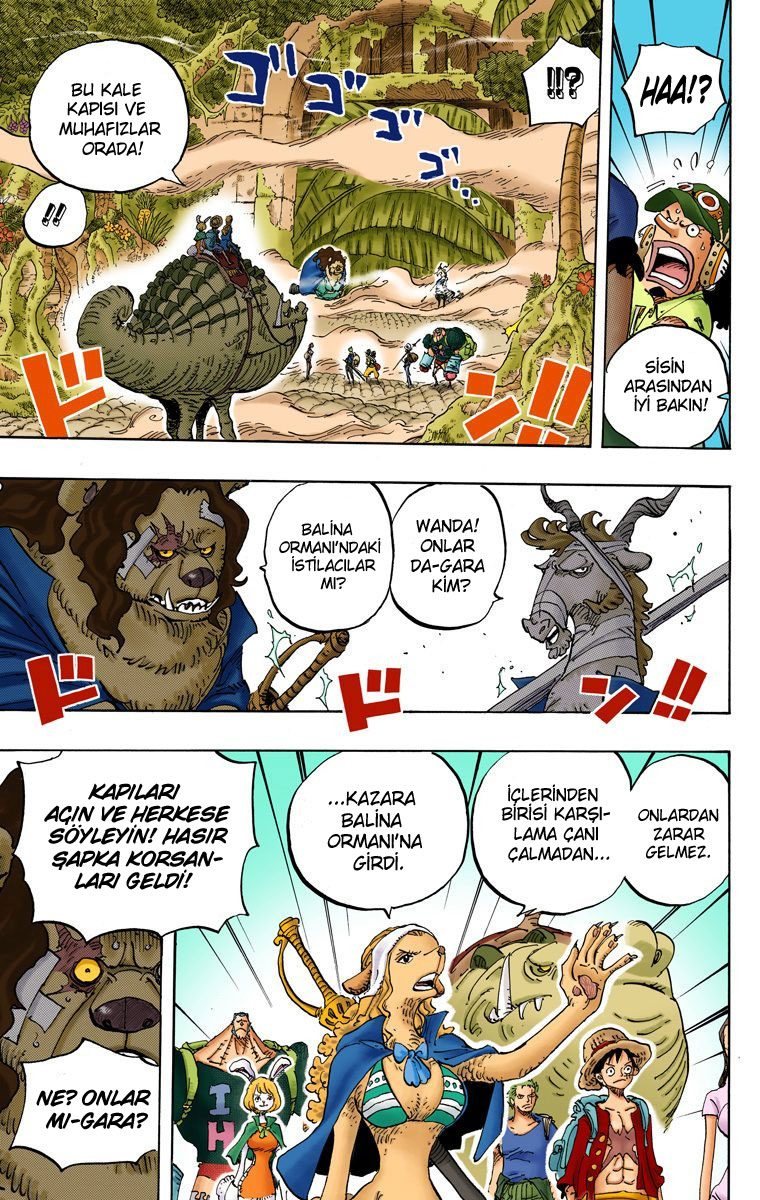 One Piece Bölüm 806 - Sayfa 11
