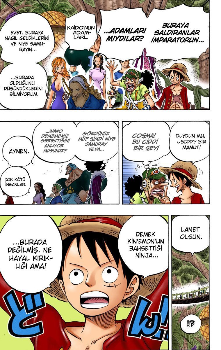 One Piece Bölüm 808 - Sayfa 10