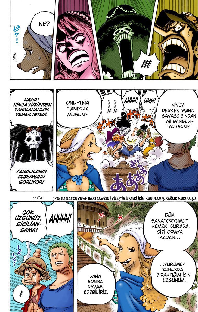 One Piece Bölüm 808 - Sayfa 11