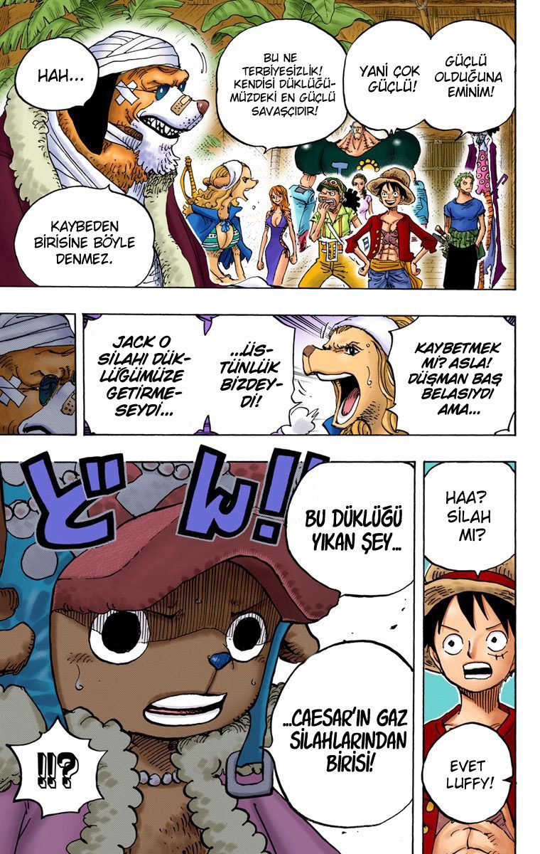 One Piece Bölüm 808 - Sayfa 16