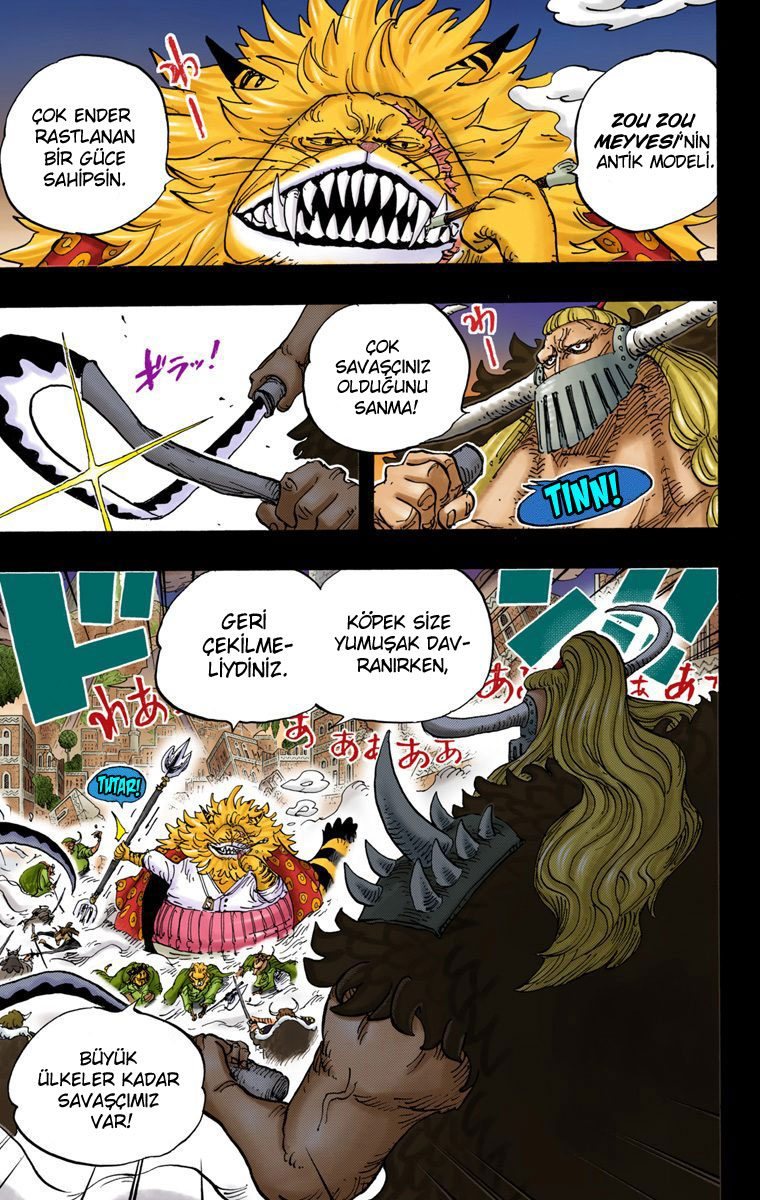 One Piece Bölüm 810 - Sayfa 3