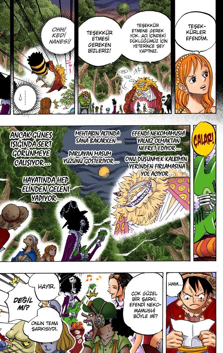 One Piece Bölüm 814 - Sayfa 3