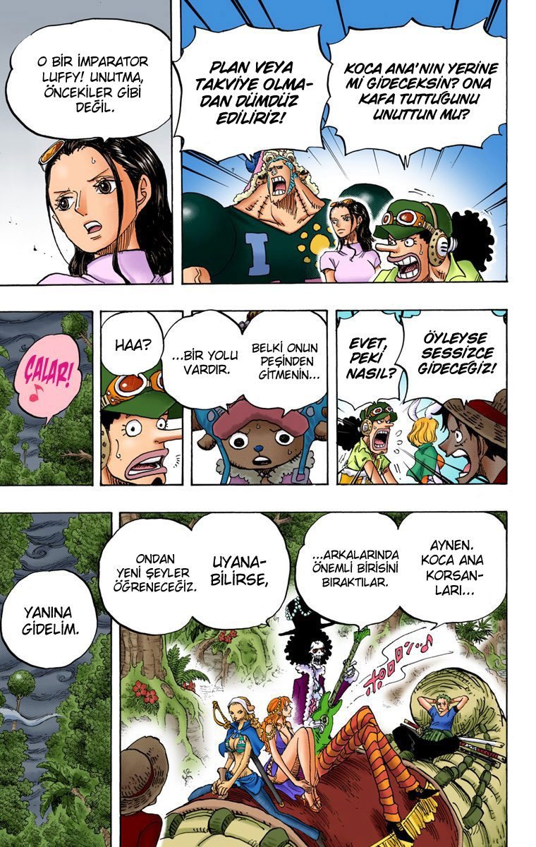 One Piece Bölüm 814 - Sayfa 9