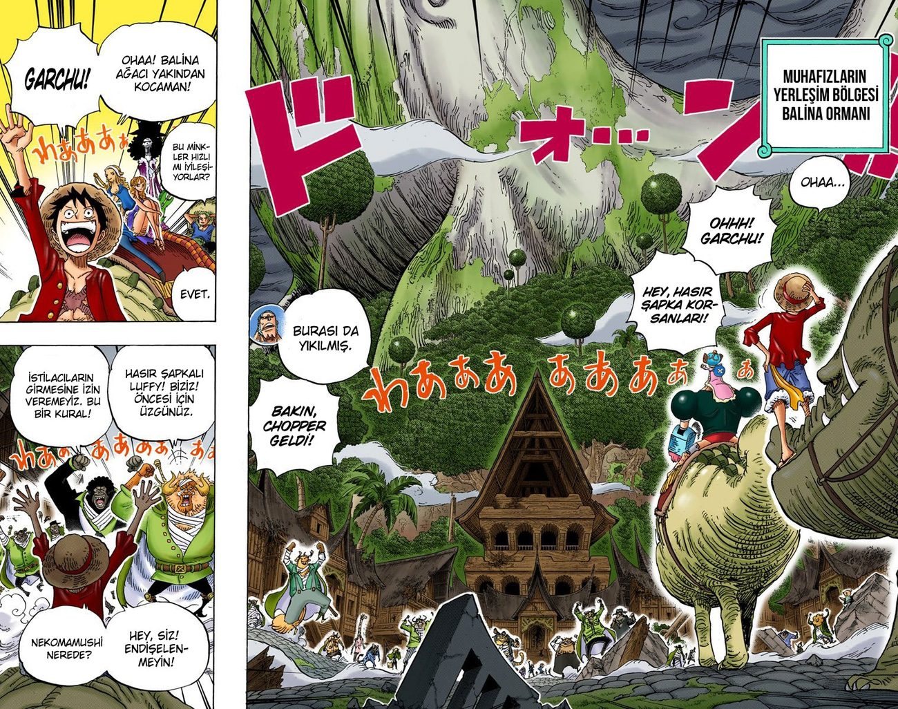 One Piece Bölüm 814 - Sayfa 10