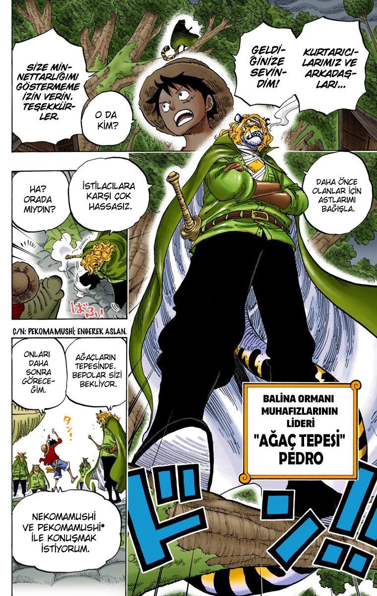 One Piece Bölüm 814 - Sayfa 11
