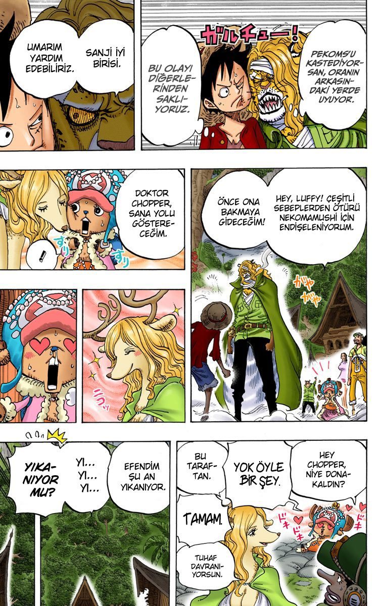 One Piece Bölüm 814 - Sayfa 12