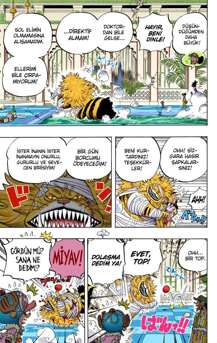One Piece Bölüm 814 - Sayfa 14