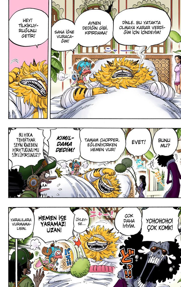 One Piece Bölüm 814 - Sayfa 15