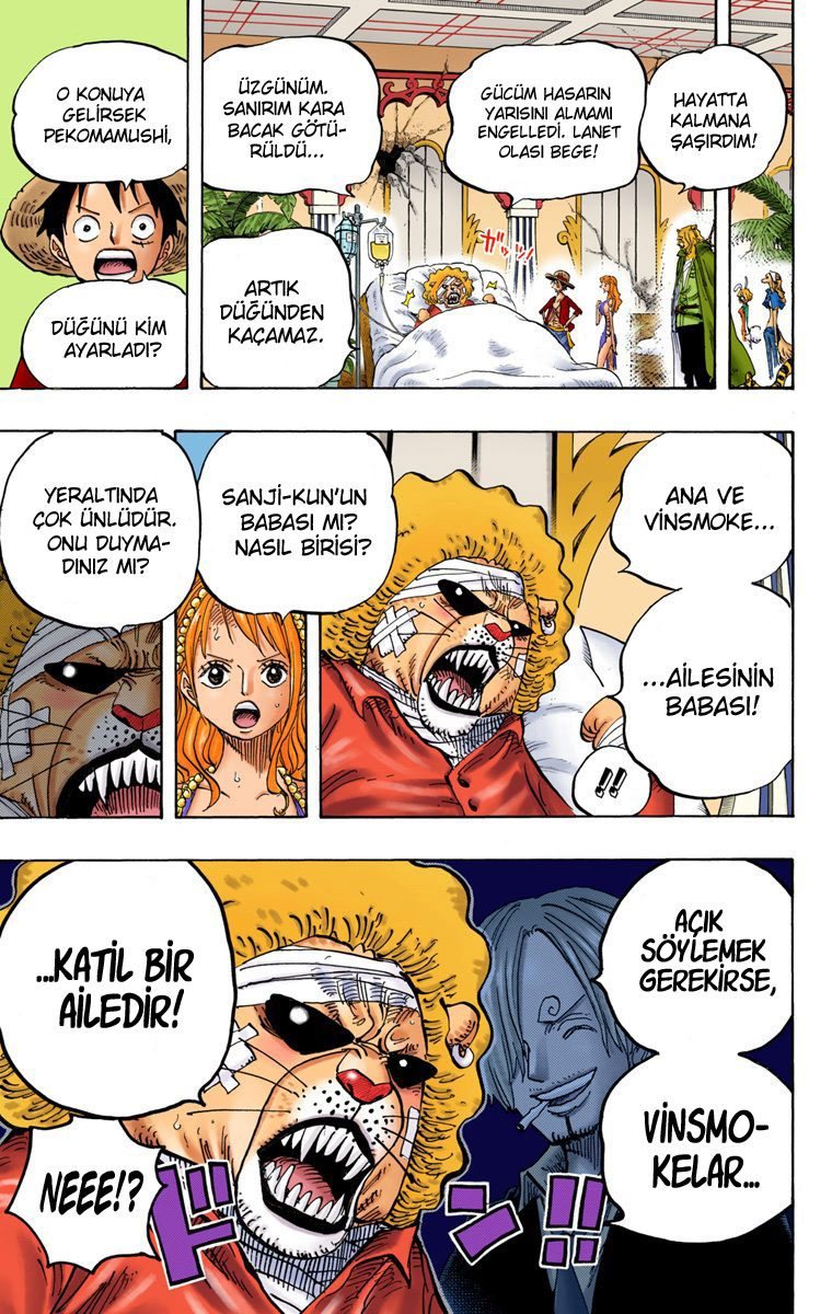 One Piece Bölüm 814 - Sayfa 16