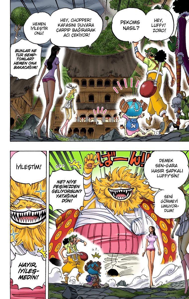 One Piece Bölüm 815 - Sayfa 10