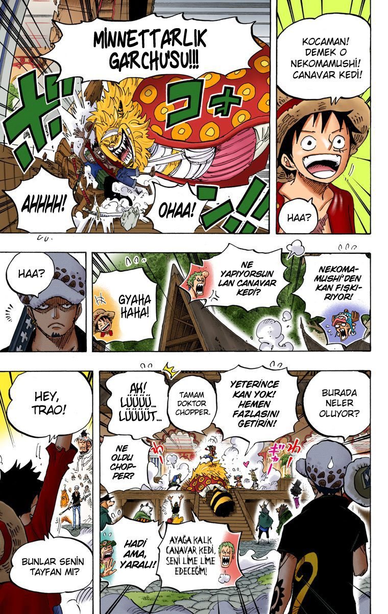 One Piece Bölüm 815 - Sayfa 11