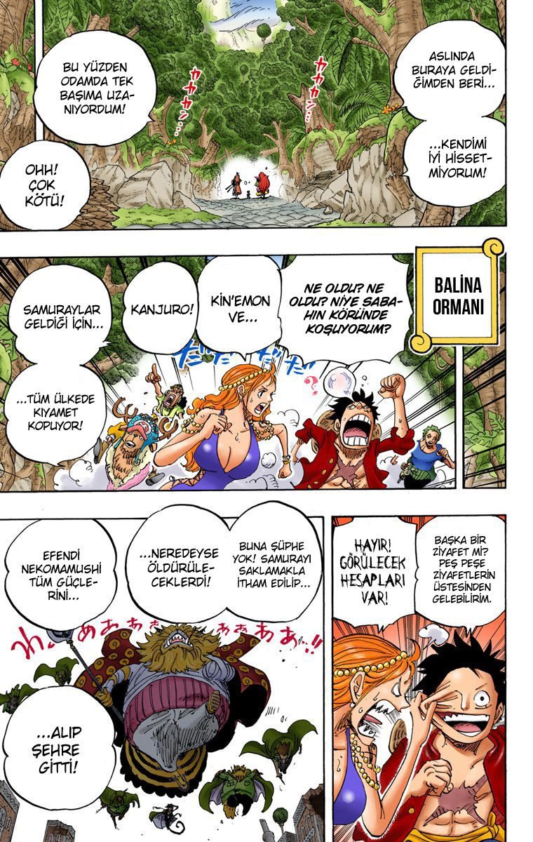One Piece Bölüm 816 - Sayfa 5