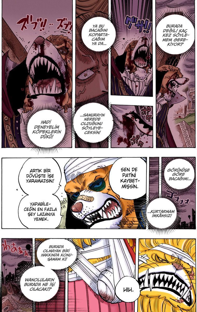 One Piece Bölüm 816 - Sayfa 9