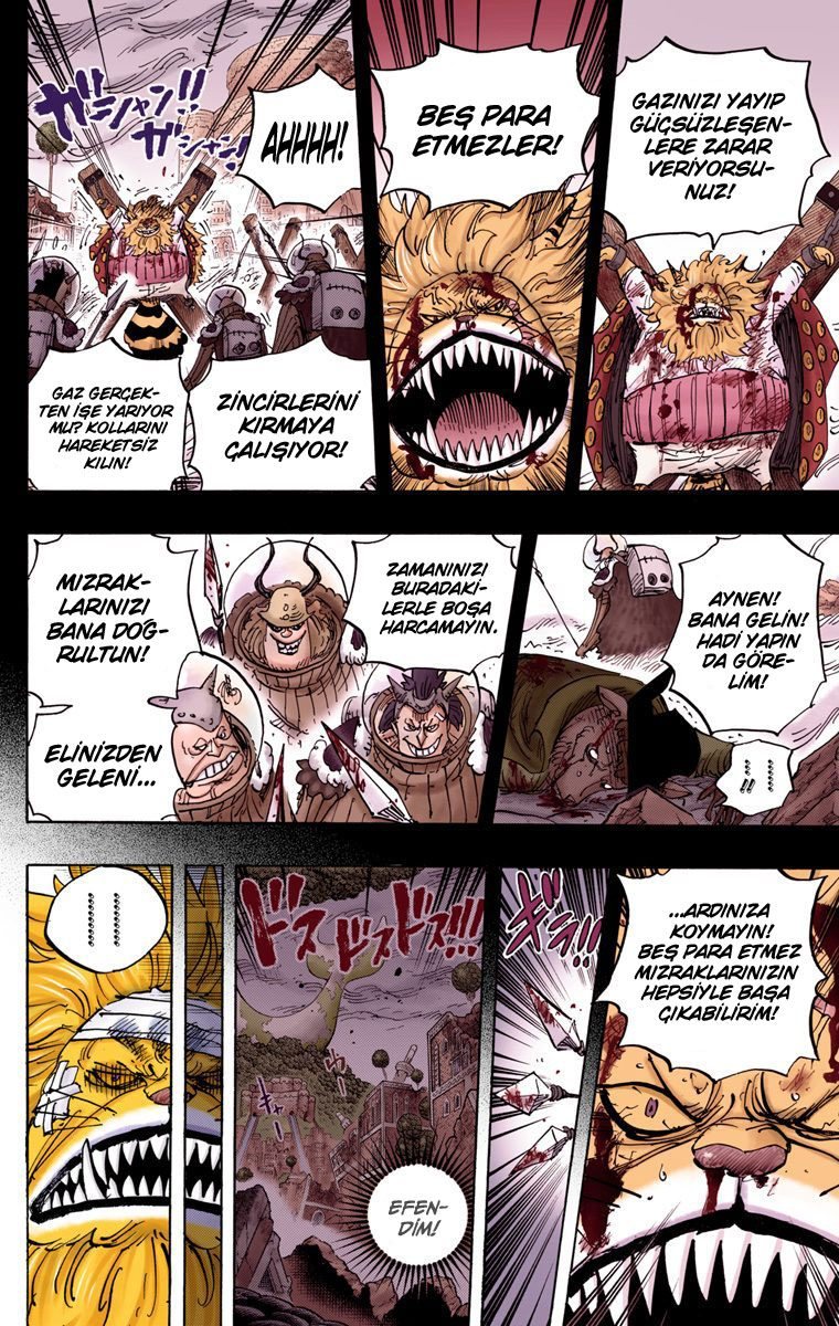 One Piece Bölüm 816 - Sayfa 10