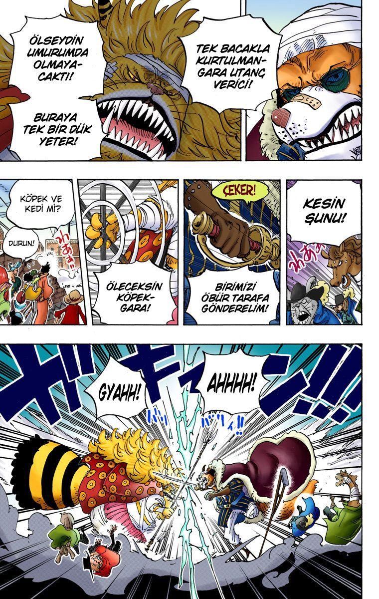 One Piece Bölüm 816 - Sayfa 11