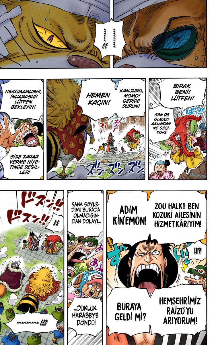 One Piece Bölüm 816 - Sayfa 13