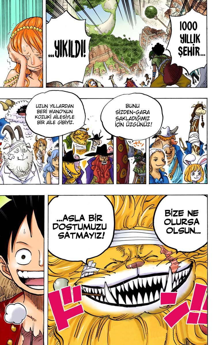 One Piece Bölüm 816 - Sayfa 16