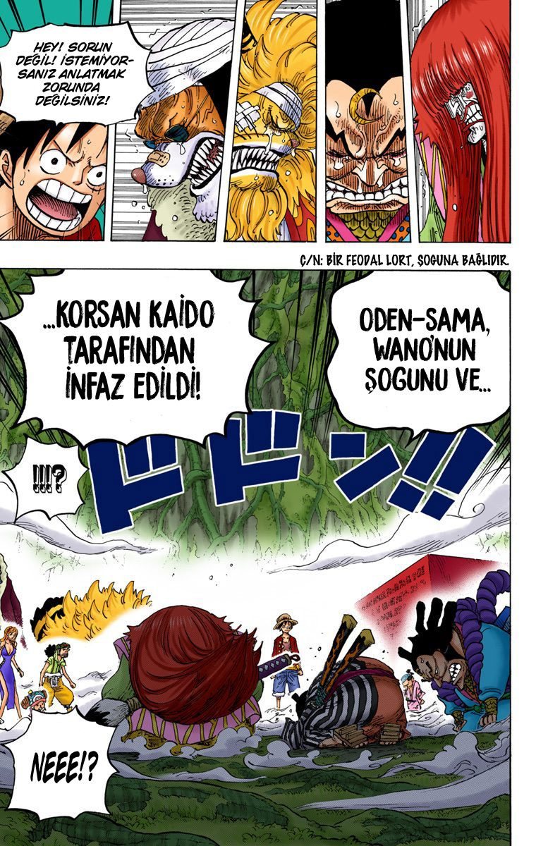 One Piece Bölüm 818 - Sayfa 13
