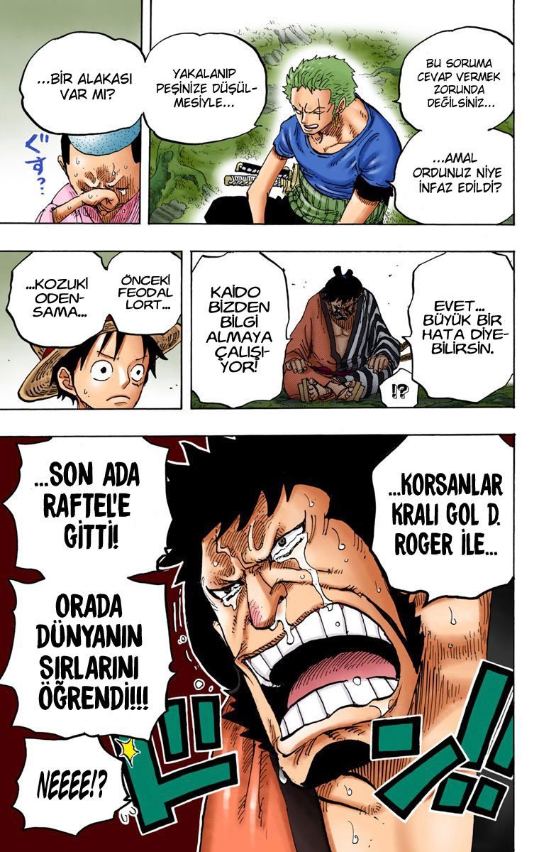 One Piece Bölüm 818 - Sayfa 15