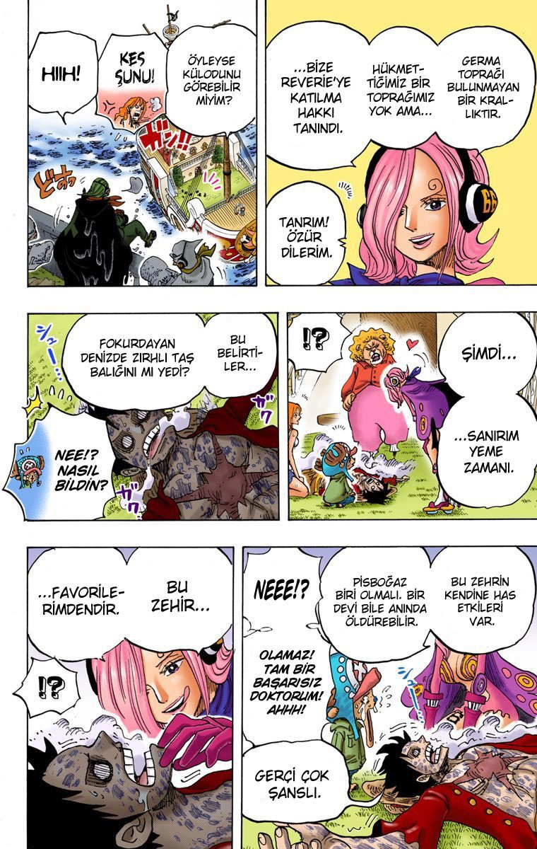 One Piece Bölüm 826 - Sayfa 10