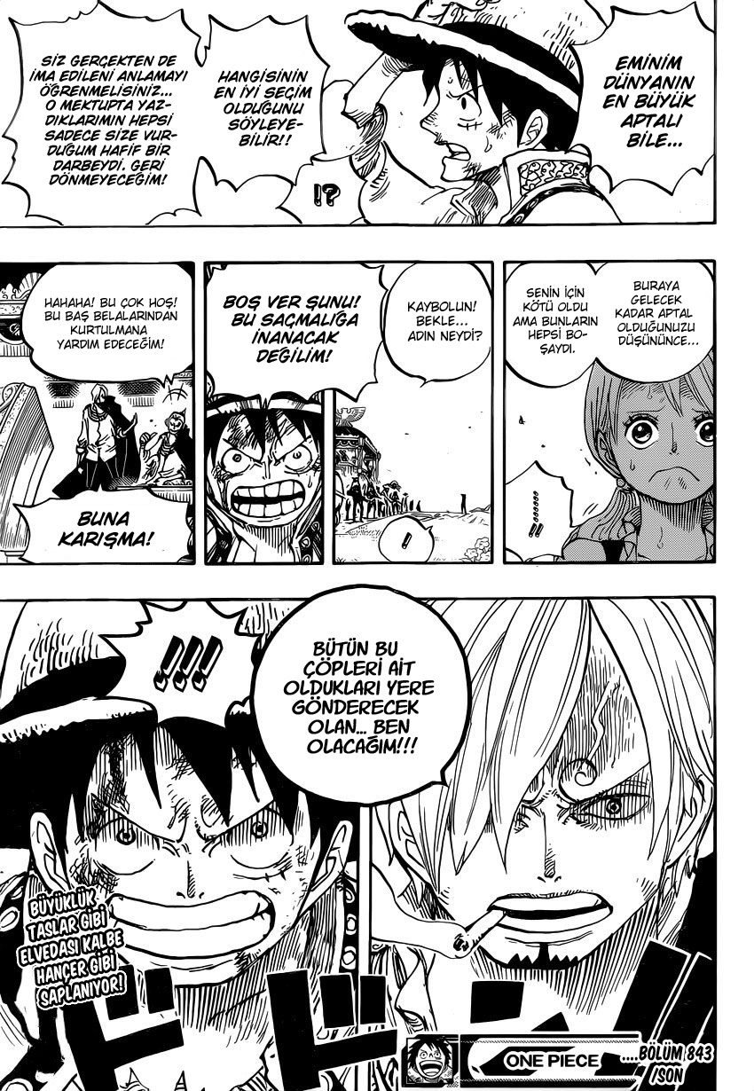 One Piece Bölüm 843 - Sayfa 17