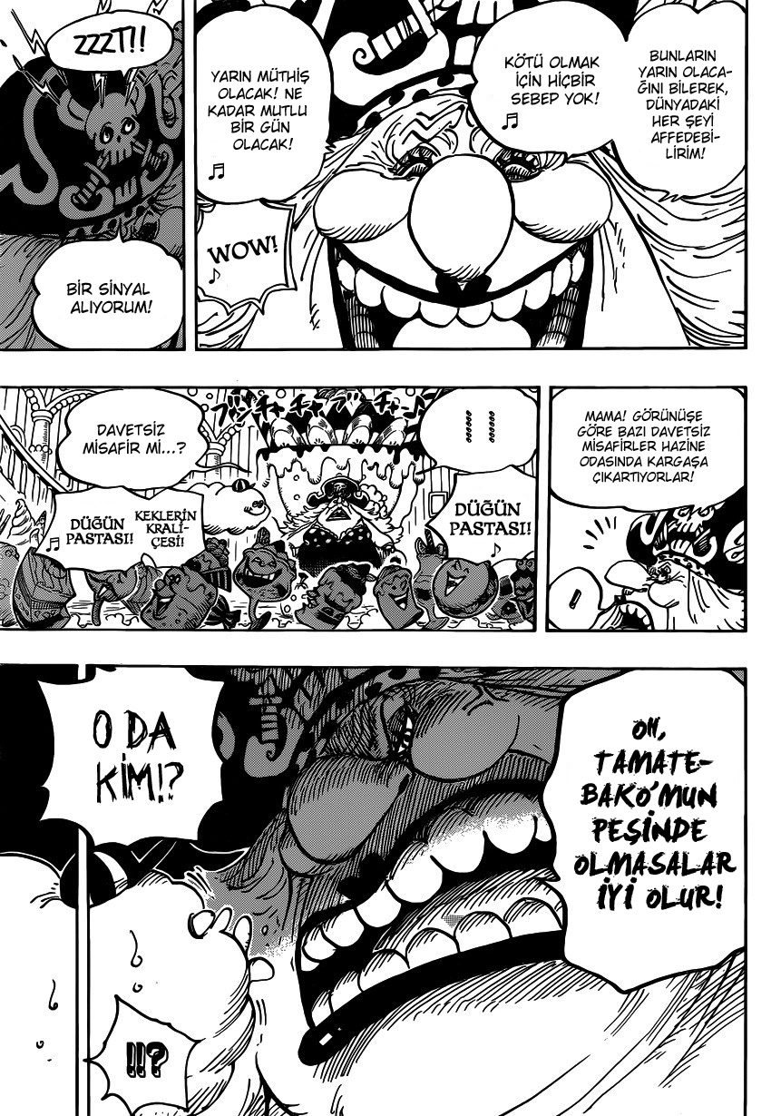 One Piece Bölüm 848 - Sayfa 4