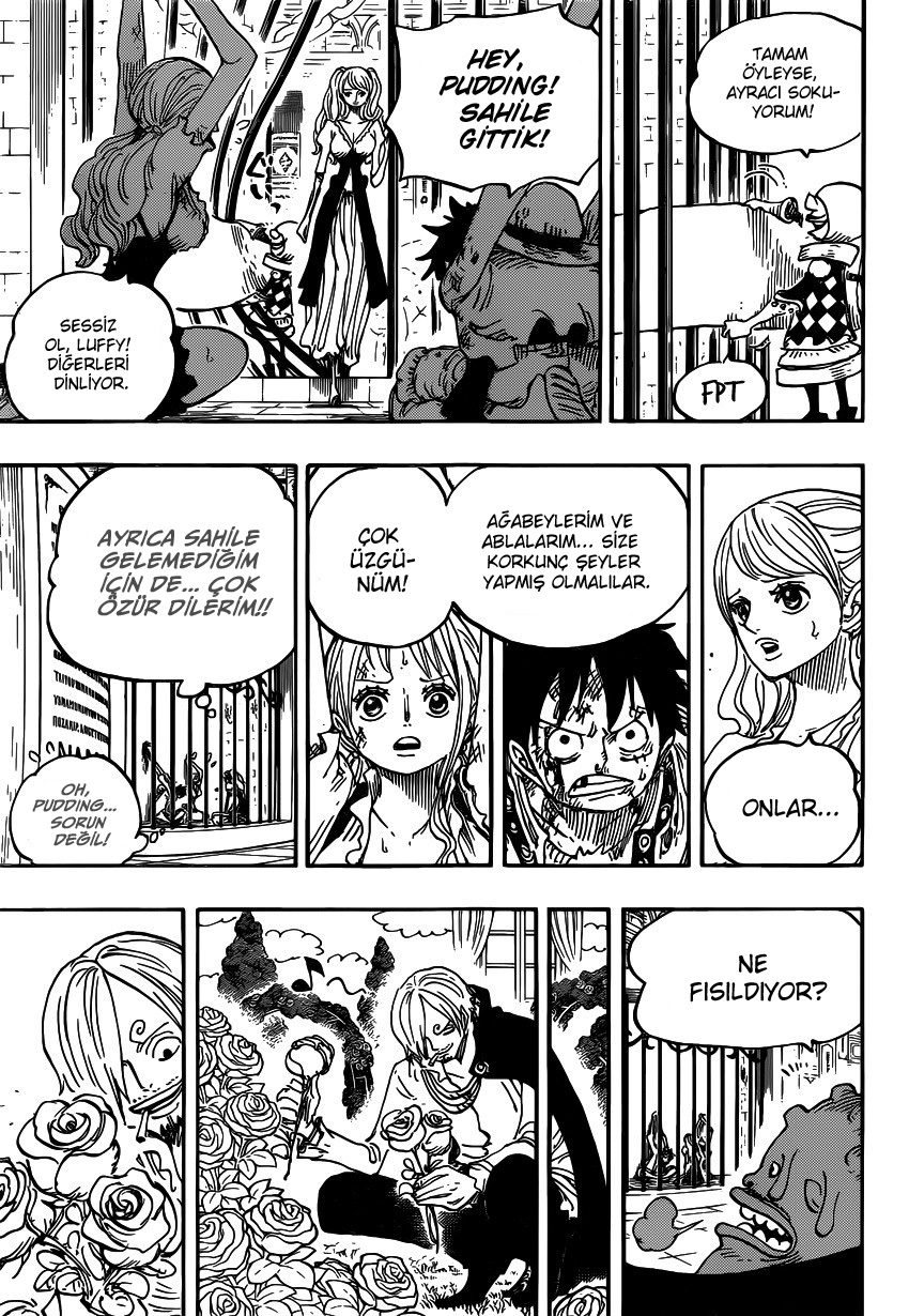 One Piece Bölüm 848 - Sayfa 15