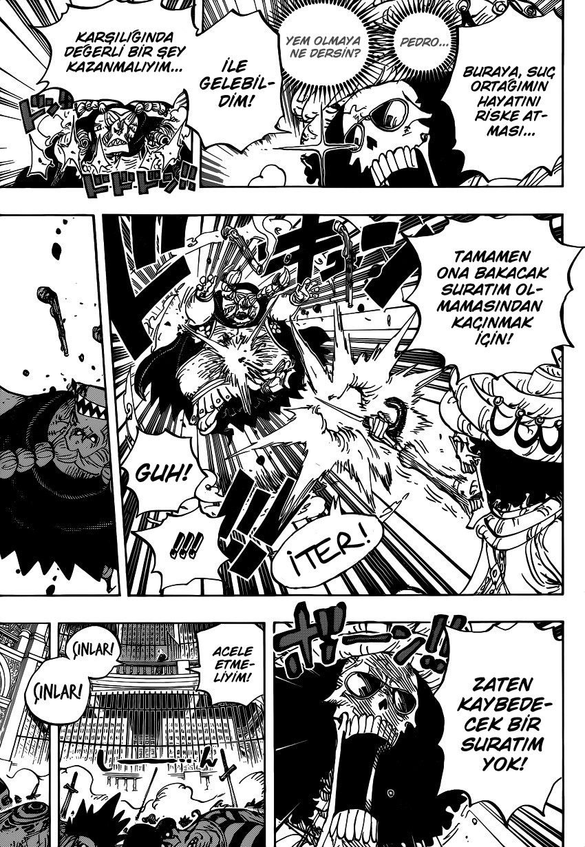 One Piece Bölüm 849 - Sayfa 13