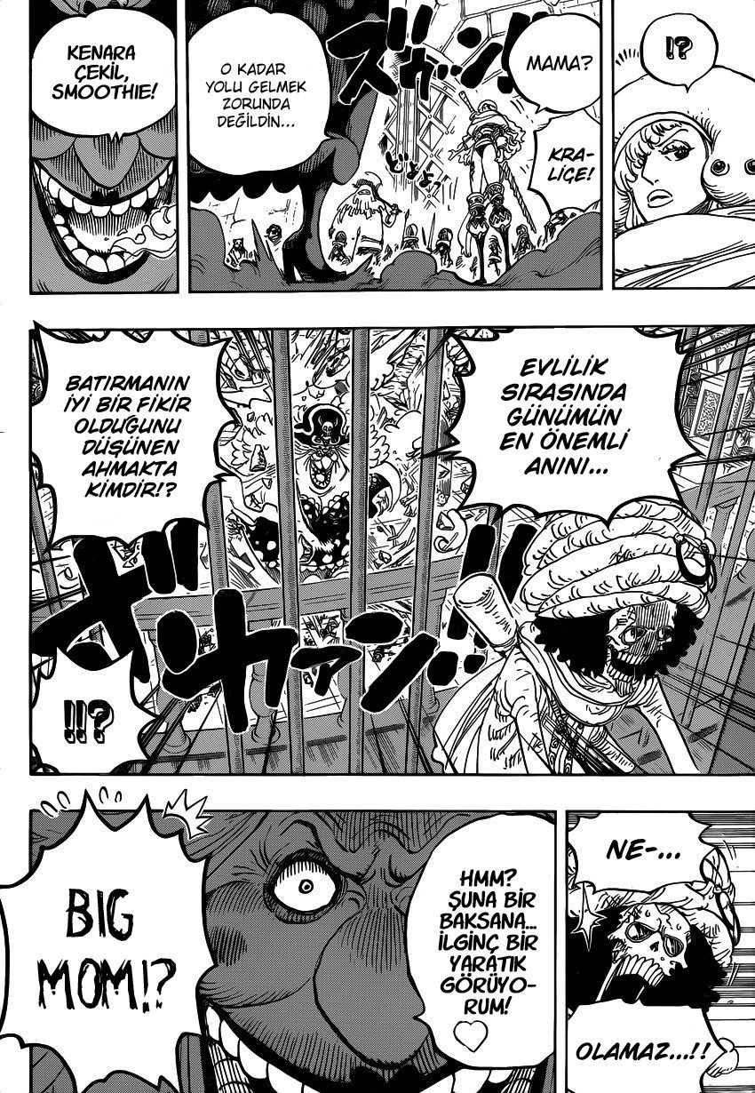 One Piece Bölüm 849 - Sayfa 14