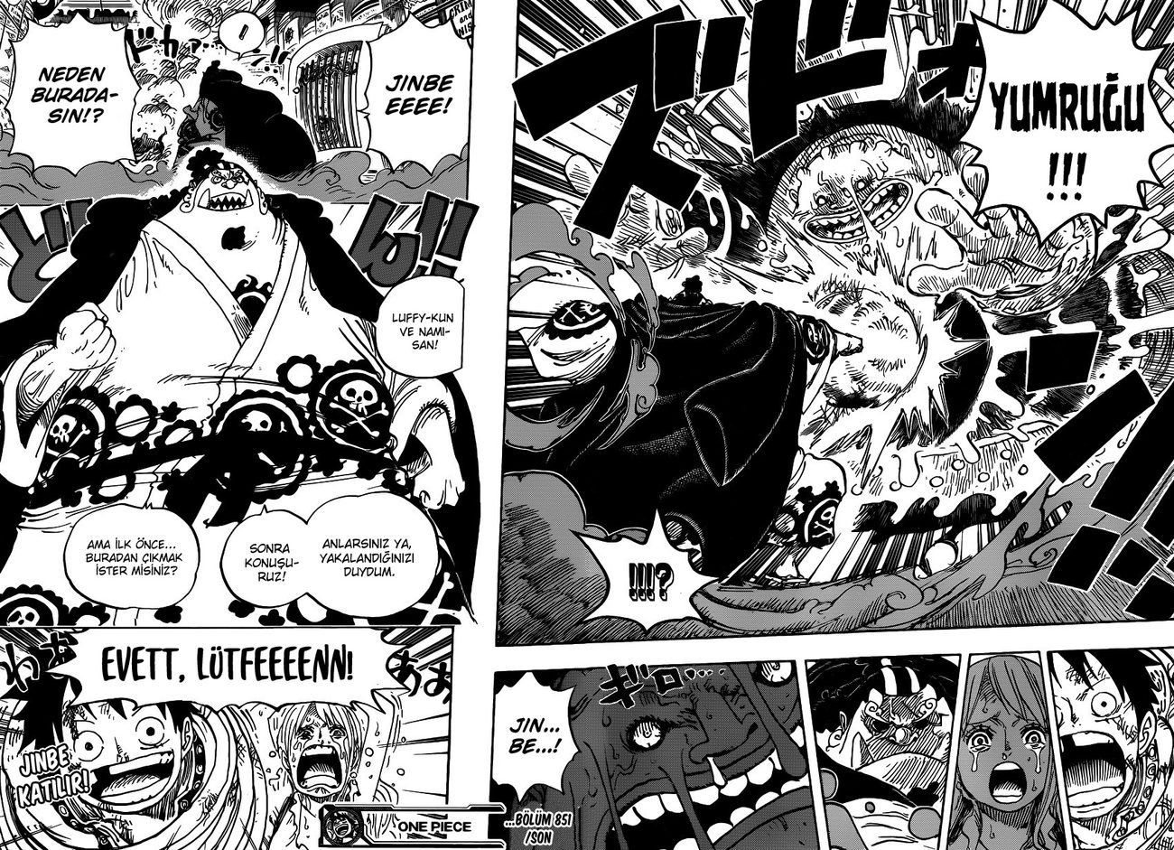 One Piece Bölüm 851 - Sayfa 14