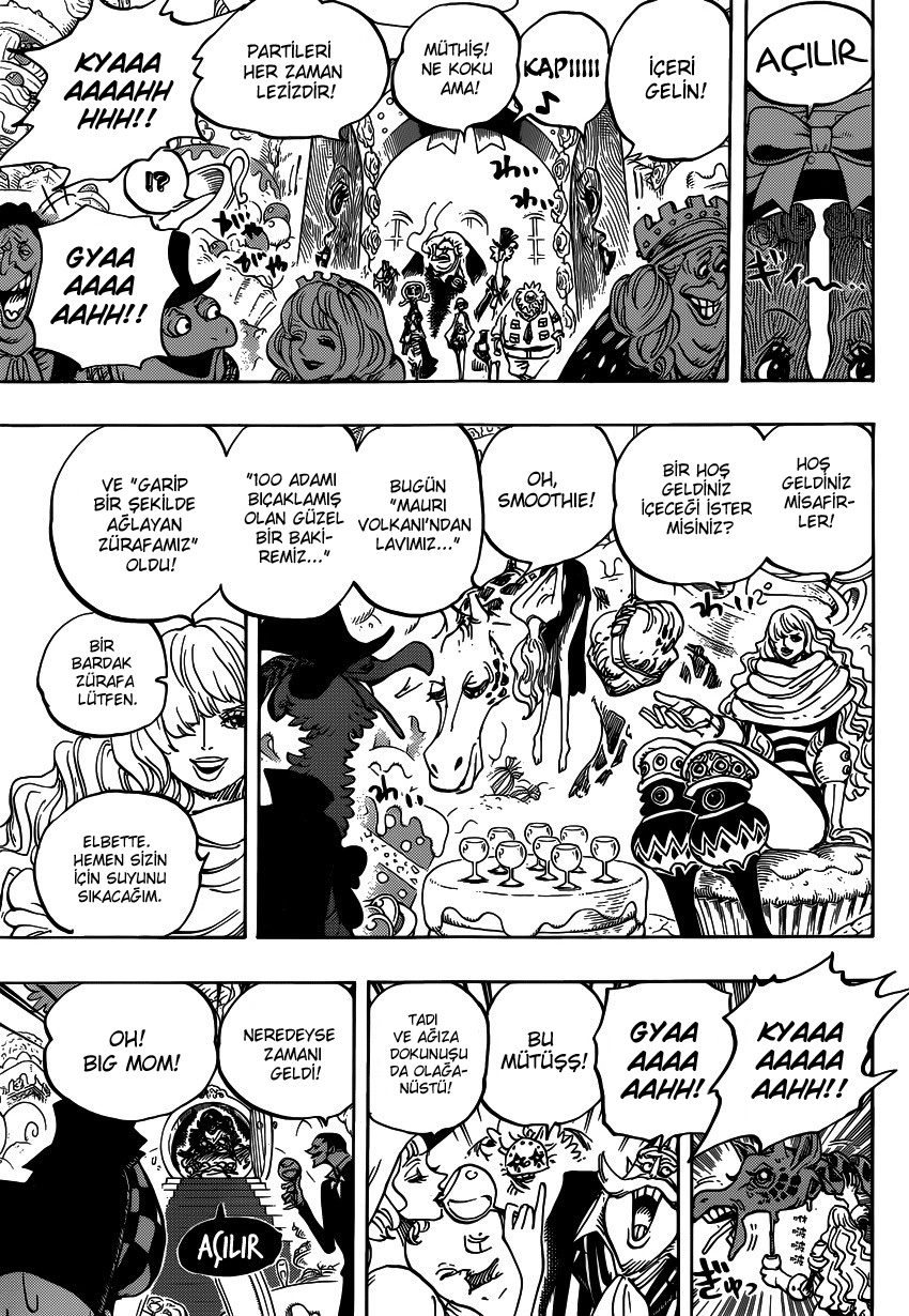 One Piece Bölüm 860 - Sayfa 11