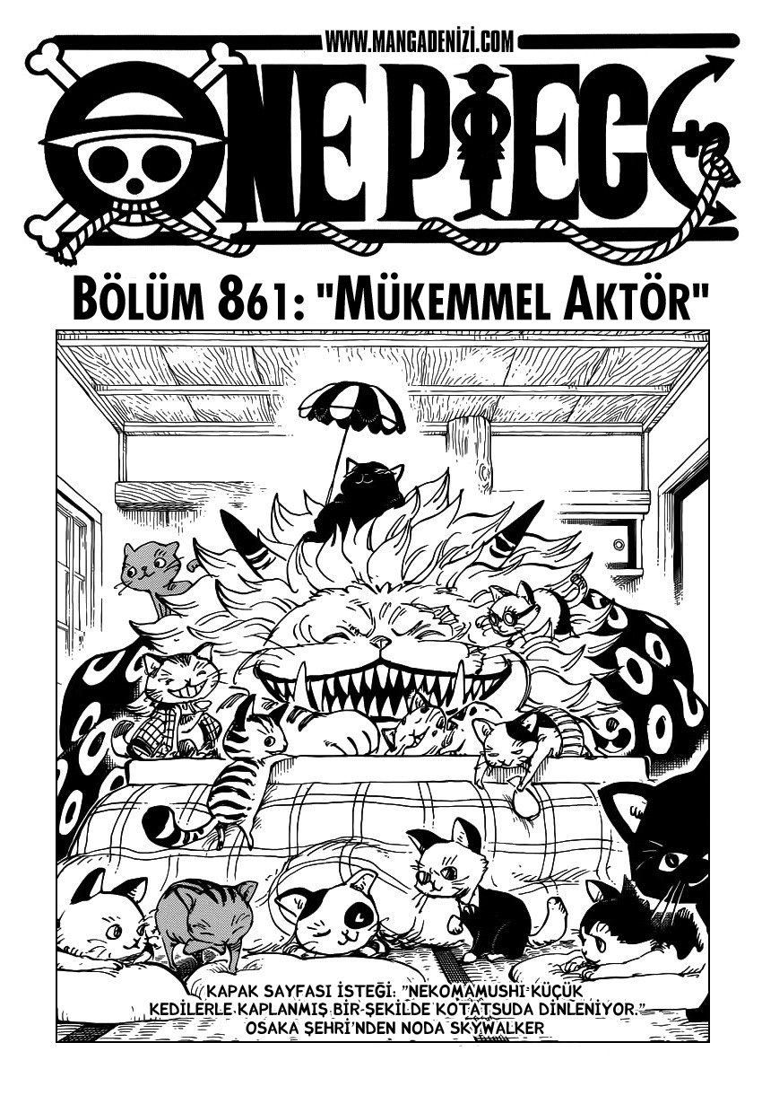 One Piece Bölüm 861 - Sayfa 1