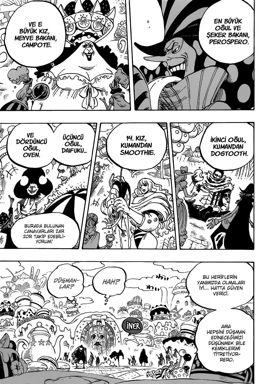 One Piece Bölüm 861 - Sayfa 3
