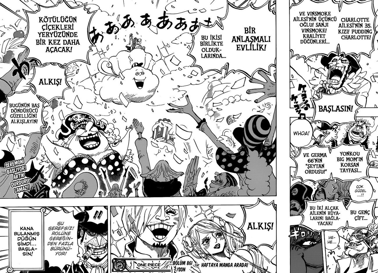 One Piece Bölüm 861 - Sayfa 15